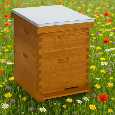 Bienen-Patenschaft