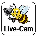Live-Cam